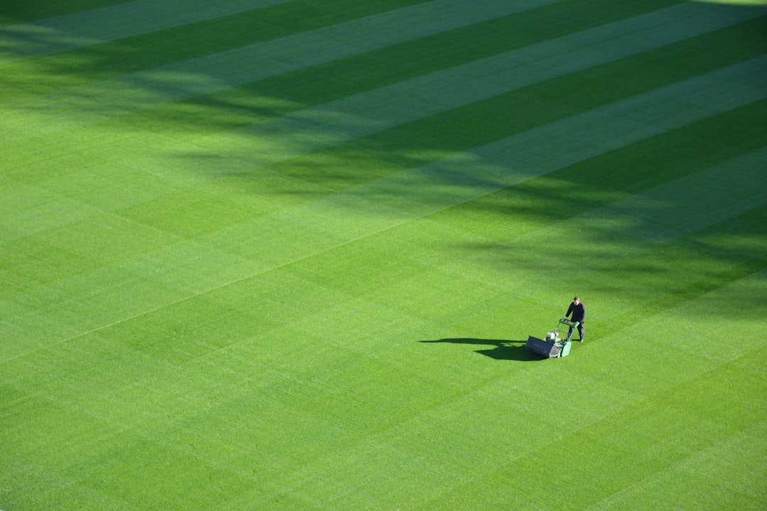 Photo Lawn mower